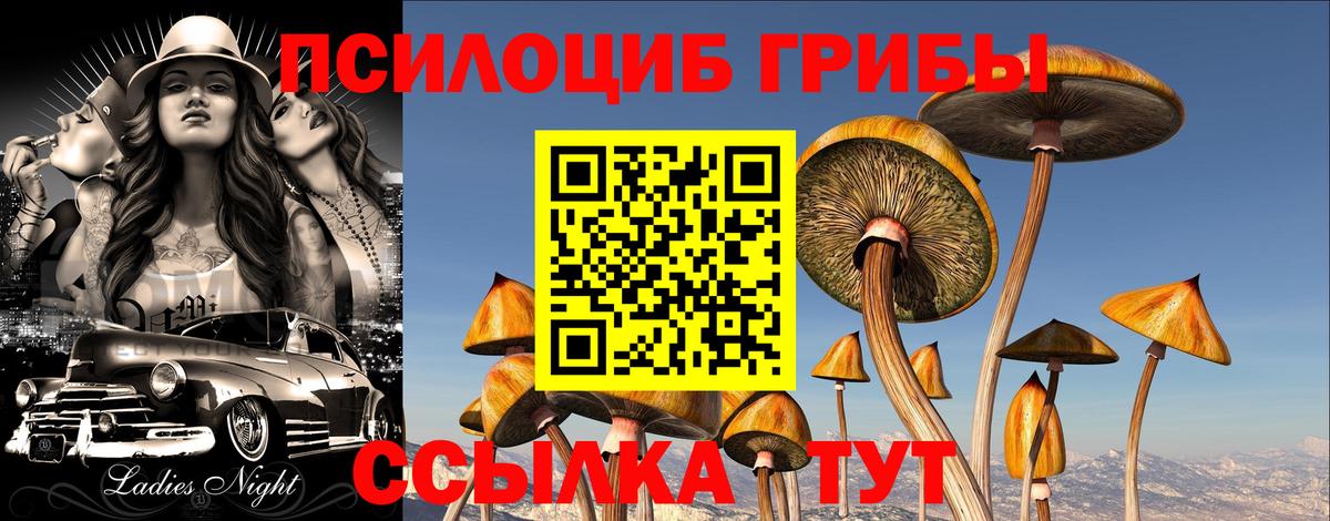 Галлюциногенные грибы мицелий  Галлюциногенные грибы Psilocybe  купить закладку  Уварово  Вход с VPN 