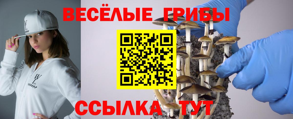 Псилоцибиновые грибы Psilocybe Уварово